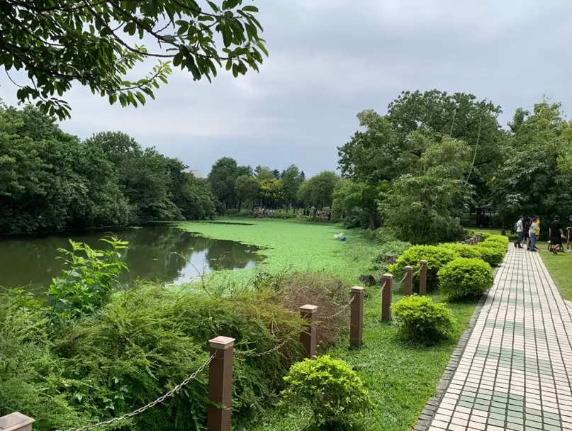 寵物友善公園 寵物友善公園